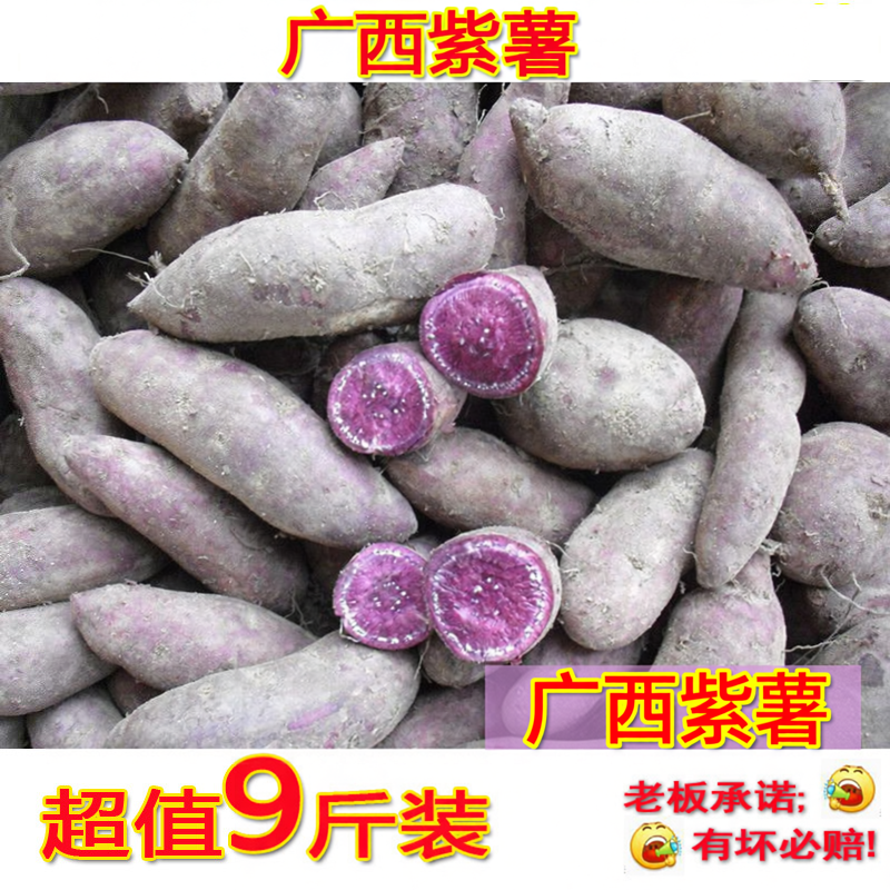 广西大紫薯现挖新鲜小紫薯紫心红薯沙土种植应季番薯地瓜板栗薯