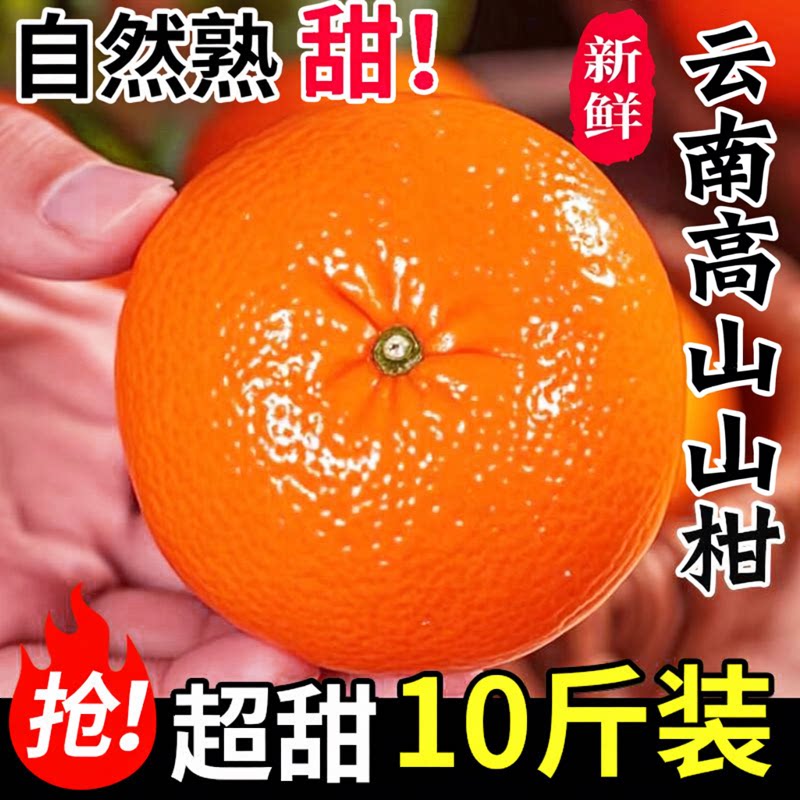 正宗云南皇帝沃柑新鲜桔子水果精选武高山柑有籽无籽随机薄皮柑橘