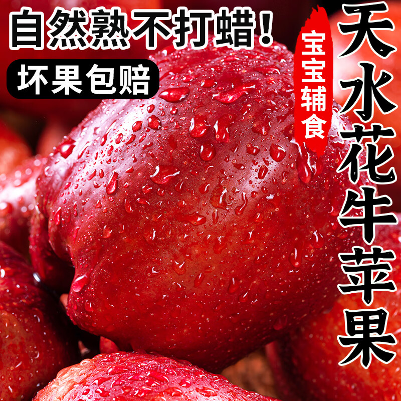 天水花牛苹果新鲜粉面苹果整箱老人宝宝辅食新鲜蛇红牛粉沙甜苹果