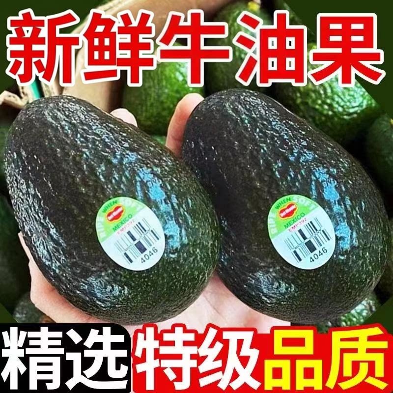 正宗牛油果新鲜墨西哥新鲜水果宝宝辅食鲁秘鳄梨整箱当季哈斯牛油