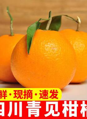 四川青见柑橘耙耙孕妇整箱5/9斤桔子橘子新鲜水果整箱丑柑橘耙耙