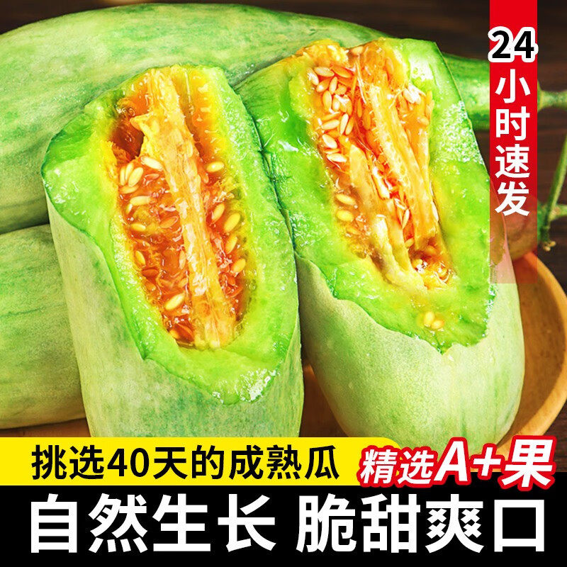 正宗山东羊角蜜头茬现摘羊角蜜甜瓜新鲜当季蜜瓜孕妇香瓜应可顺丰