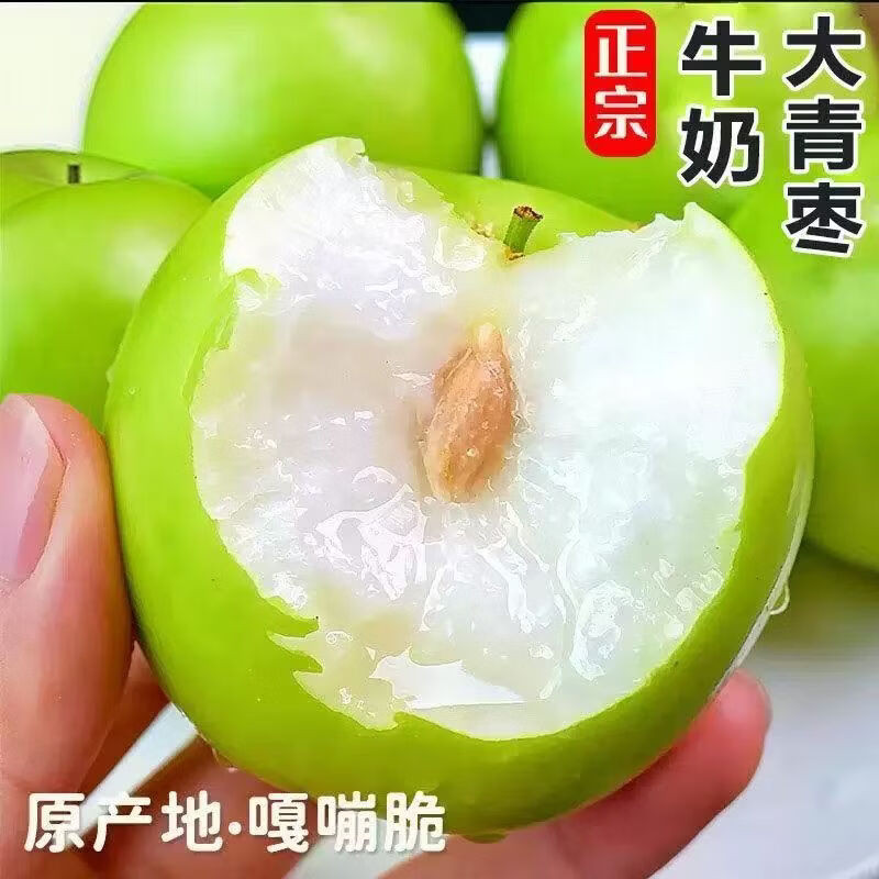 正宗云南贵妃牛奶大青枣5斤新鲜冬枣鲜枣当季水果脆枣福建大青枣