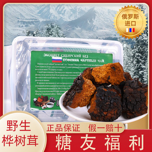 白桦茸俄罗斯进口正品桦树茸黑金块野生桦褐孔菌配黑果非长白山华