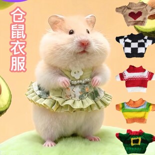 荷兰猪毛衣小体型小衣服仓鼠豚鼠大体金丝熊花枝鼠宠物保暖毛衣高
