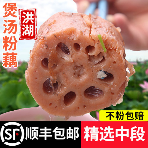 洪湖煲汤粉藕粉糯香甜顺丰包邮