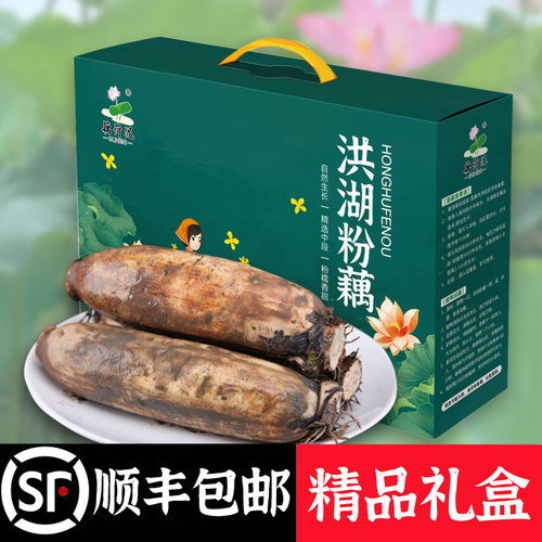 顺丰空运正宗湖北洪湖汤湖藕莲藕