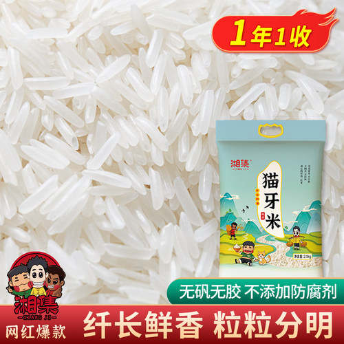 长粒香米一级南方猫牙米湘集