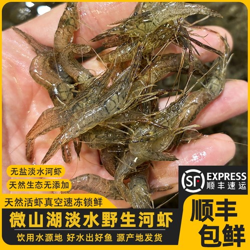 生态淡水小河虾新鲜无盐