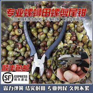 田螺去尾钳螺蛳剪尾钳子螺丝剪尾神器专业工具石螺斜口钳剪刀包邮