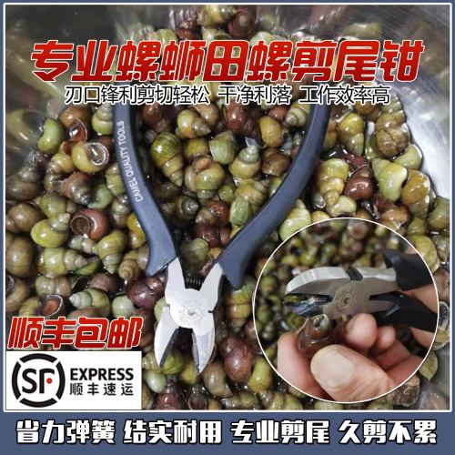 田螺去尾钳螺蛳剪尾专业工具石螺