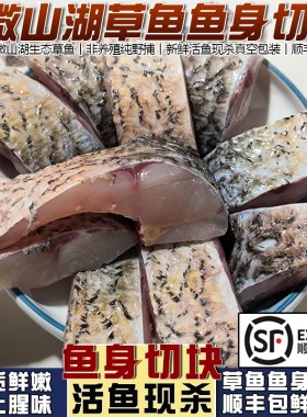 微山湖草鱼鱼身切块顺丰包鲜到家