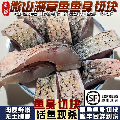 微山湖草鱼鱼身切块顺丰包鲜到家