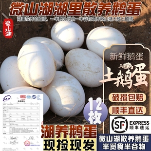 微山湖放养新鲜土鹅蛋农家散养粮食鱼虾大鹅蛋孕产妇月子食材12枚