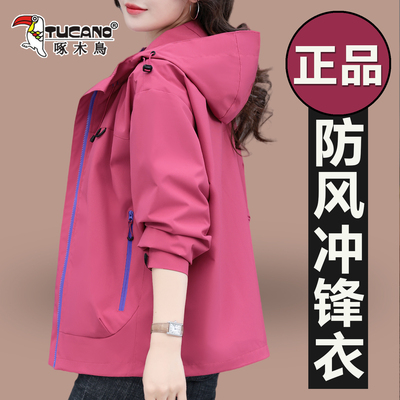 啄木鸟春秋季女款宽松休闲夹克衫