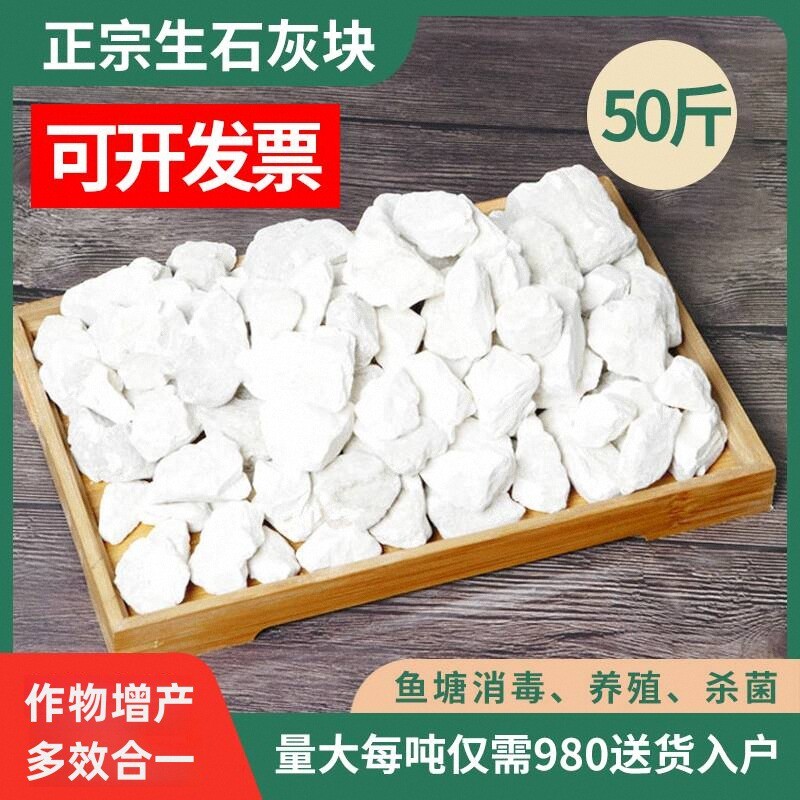 50斤生石灰块鱼塘消毒养殖