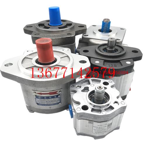 议价齿轮泵马达CASAPPA凯斯帕PLM20.4/6.3/7.2/8/9-L0-82E2-LBC-N