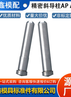 斜导柱定制13AP/16APS/APH台阶型精密导柱导套直杆塑料模具配件