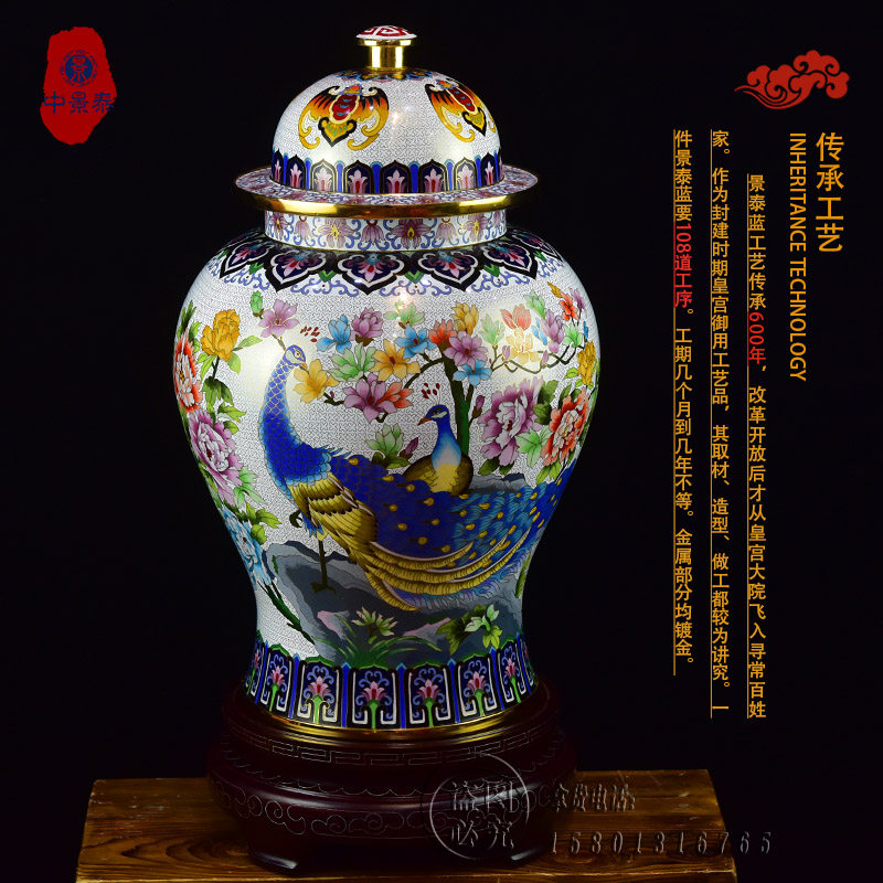 北京景泰蓝花瓶20寸孔雀将军罐别墅高档家装饰品铜胎珐琅客厅摆件