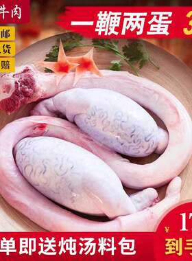 现杀新鲜黄牛鞭顺丰包邮