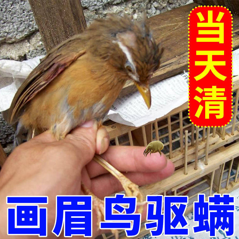 鸟体外驱虫药【一喷净】画眉螨虫虱子寄生虫异常啄毛掉毛鸟类洁羽
