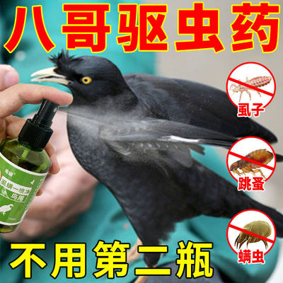 虱子跳蚤清洁羽毛异味体外驱虫药