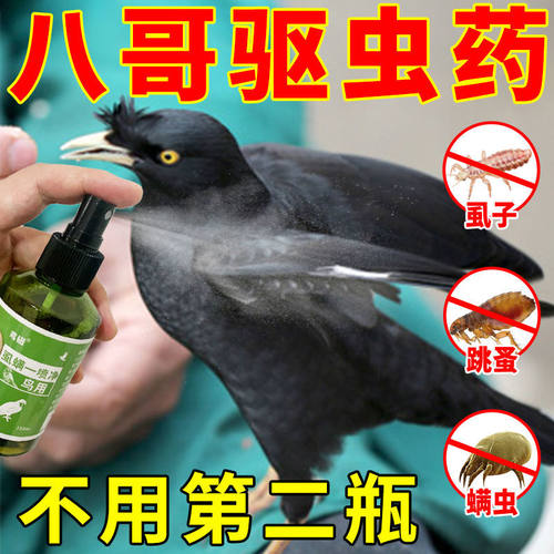 虱子跳蚤清洁羽毛异味体外驱虫药
