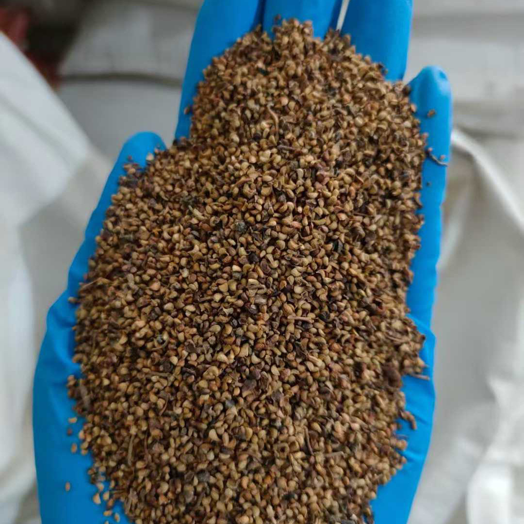 覆盆子种子多年生树莓种籽草种子3