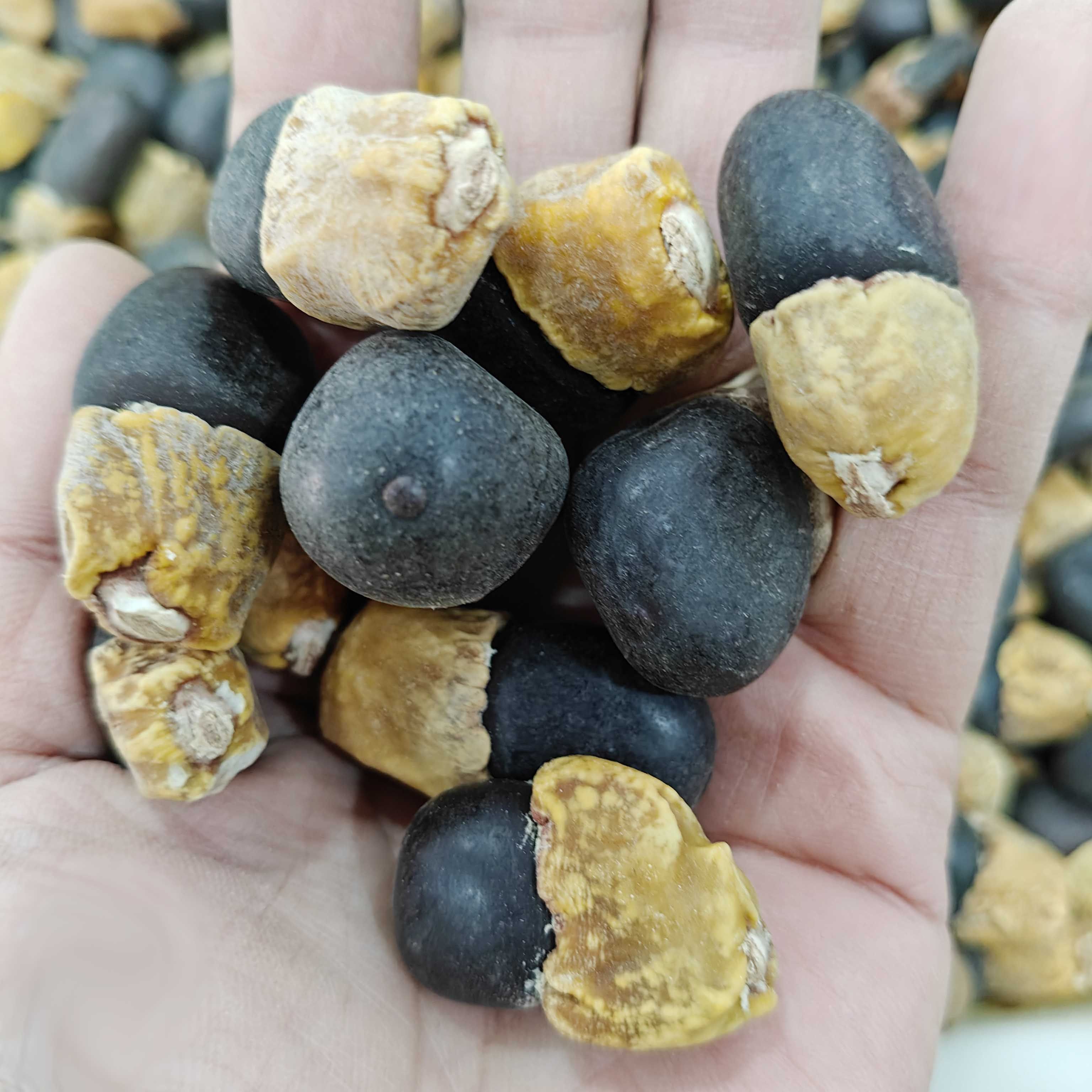 菩提种子缅茄子饰品文玩种籽4