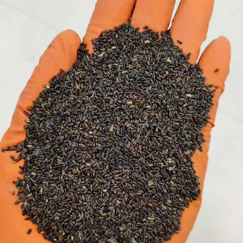 薰衣草种子子驱蚊观花种籽景观绿化种孑花籽花种5