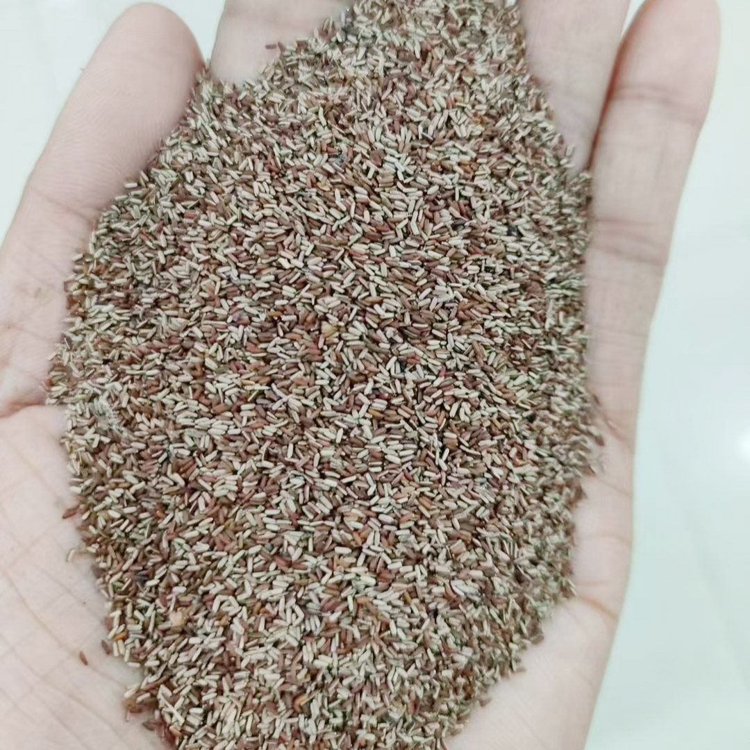 柳叶马鞭草种子燕尾草退血草蜻蜓草荆草风颈草龙芽草种籽花种5