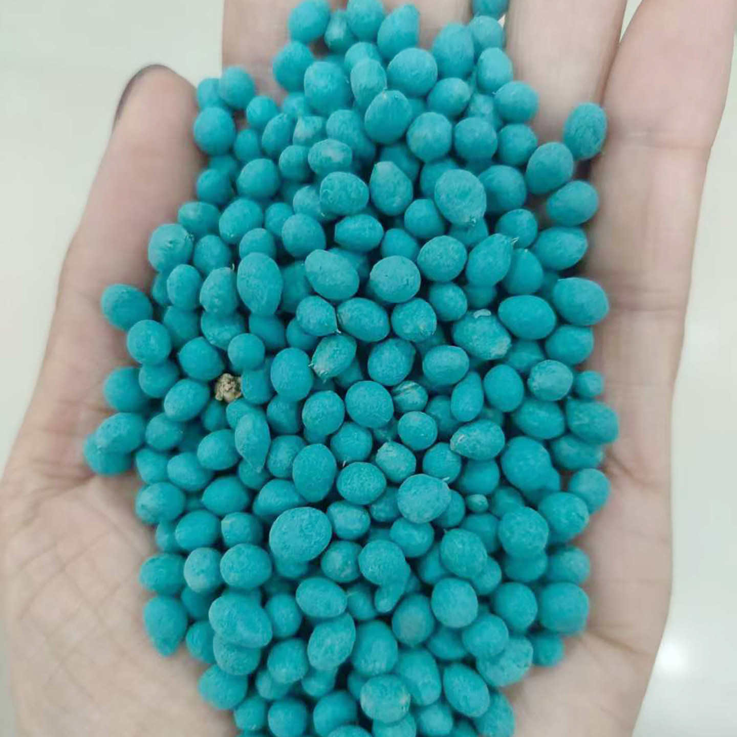 野牛草种子子牧草种子籽籽草种子牧草1