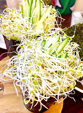 苜蓿菜籽苜蓿芽苗菜草种芽紫花草籽种种子alfafa兔粮大叶菜牧草1