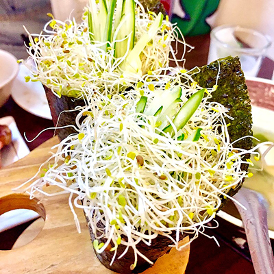 苜蓿菜籽苜蓿芽苗菜草种芽紫花草籽种种子alfafa兔粮大叶菜牧草1