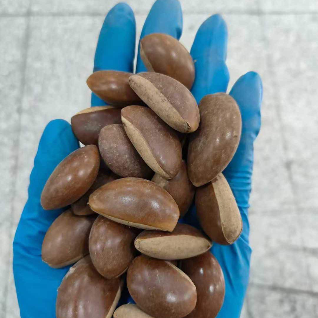 妈咪果种子,鲜花速递/花卉仿真/绿植园艺,家庭园艺种子,淘宝优惠券,粉丝福利购,淘宝优惠卷