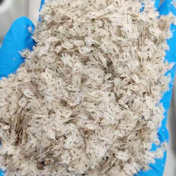 泡桐种子 白花泡桐 大果泡桐 空桐木 水桐 桐木树 紫花树4