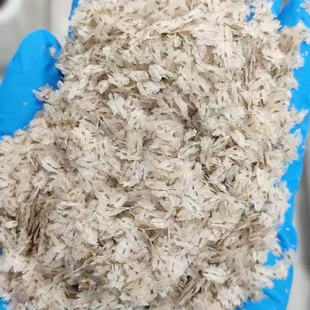 泡桐种子 白花泡桐 大果泡桐 空桐木 水桐 桐木树 紫花树4