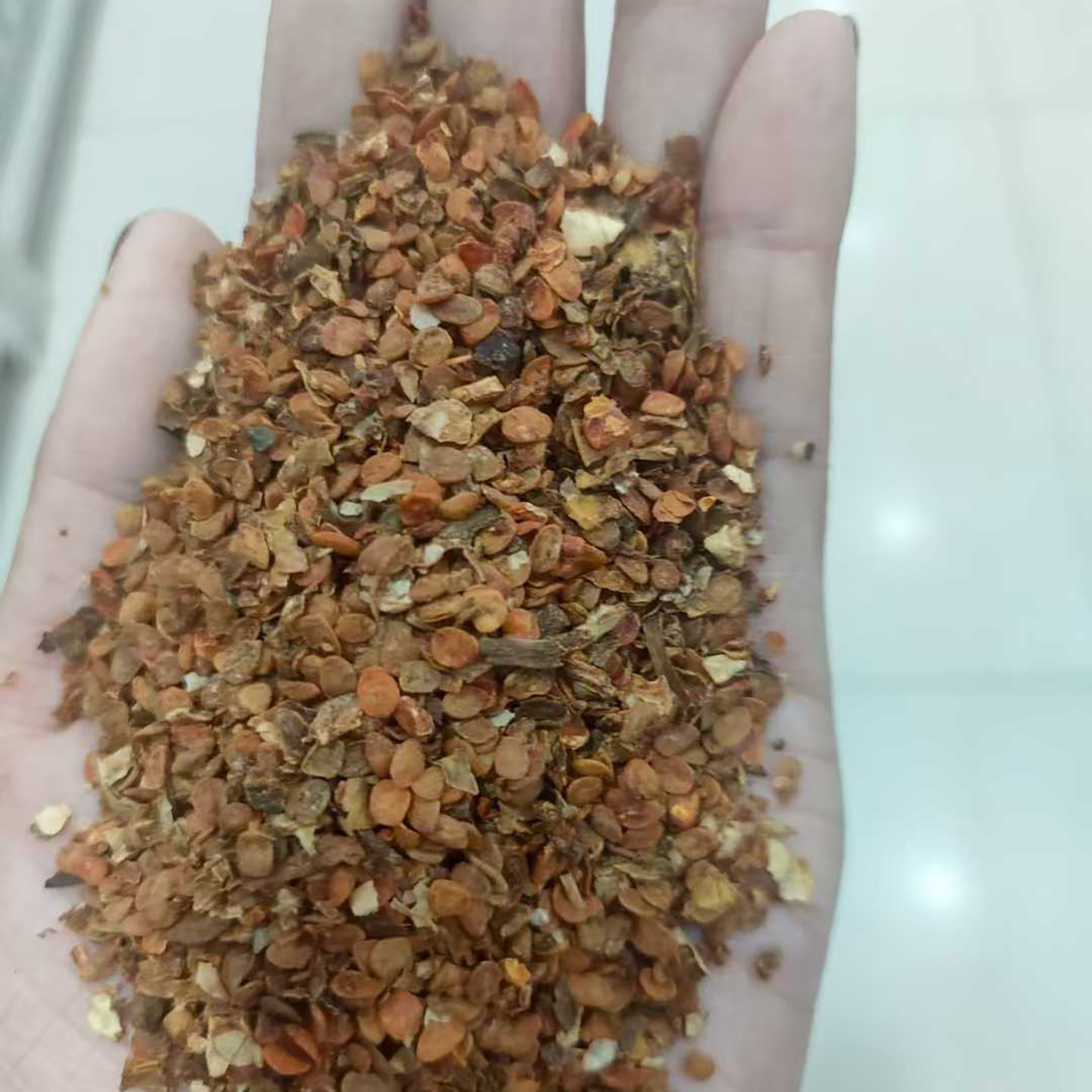 栀子花种子4