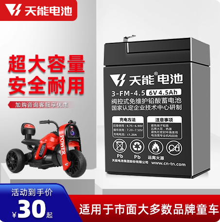 天能儿童玩具汽车蓄电瓶6V