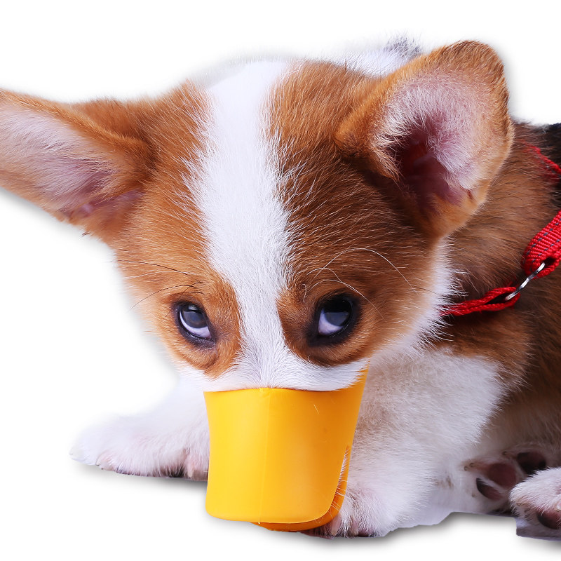 网友分享在meiguo.com的图片