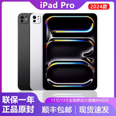 Apple/苹果iPadpro2024款-国行