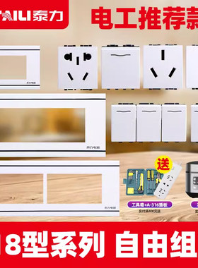 118型暗装雅白开关插座面板泰力