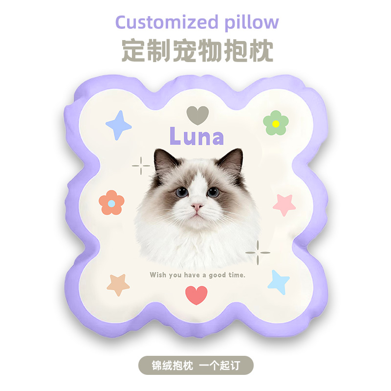 来图定制异形宠物抱枕头像靠枕