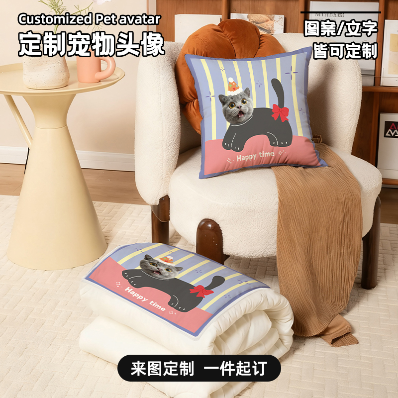 来图定制高颜值宠物头像抱枕被
