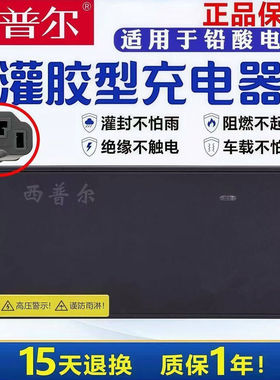 西普尔电动车充电器72V20AH铅酸32ah电瓶60三轮48伏3安4A灌胶防雨