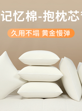 抱枕芯45x45cm内胆芯抱枕芯内芯靠垫靠枕记忆棉填充材料沙发客厅