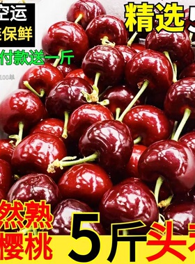 正宗山东美早大樱桃新鲜水果国产车厘子当季整箱5JJ现摘礼盒包邮