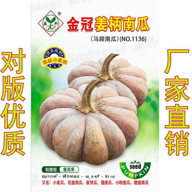 金冠姜柄南瓜种子黄色姜柄瓜种又家庭园艺种子