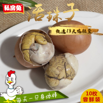 私房兔毛蛋活珠子鸡胚蛋新鲜10只装13天熟即食五香毛蛋凤凰蛋批发