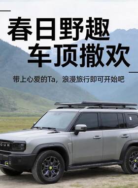 热销五菱宏光S3之光EV佳辰瑞风S3 S5大运远志M1宝骏730车顶行李架